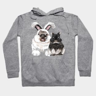 BB Rabbit Watercolor Hoodie